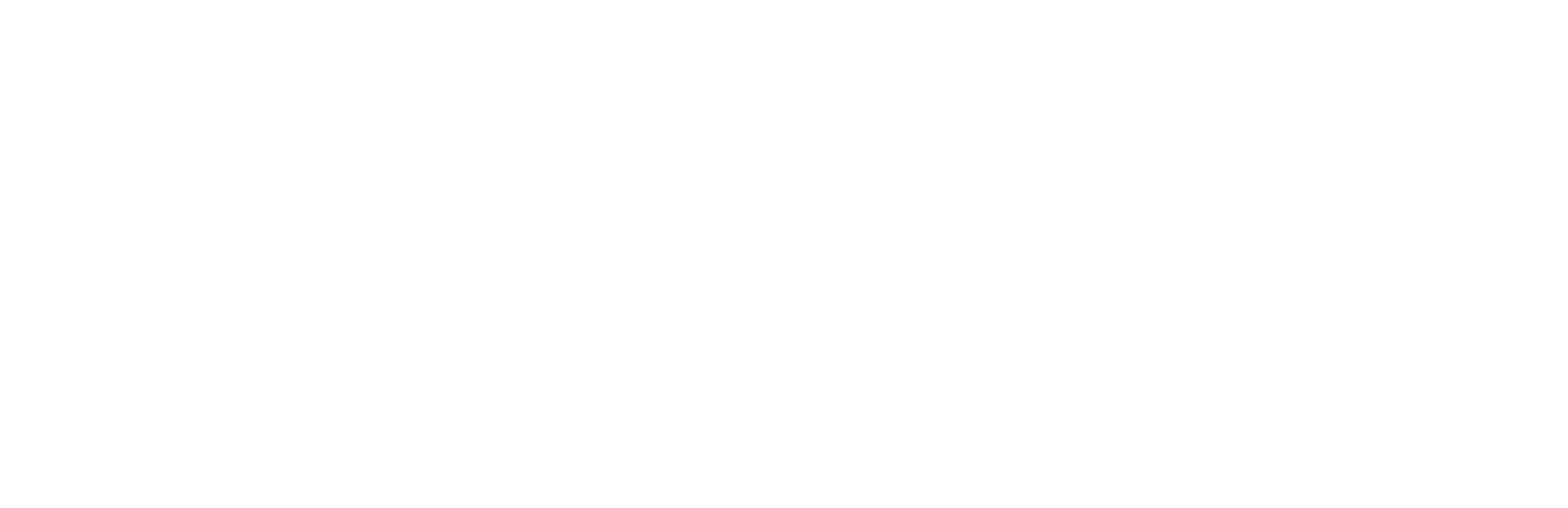 Diska